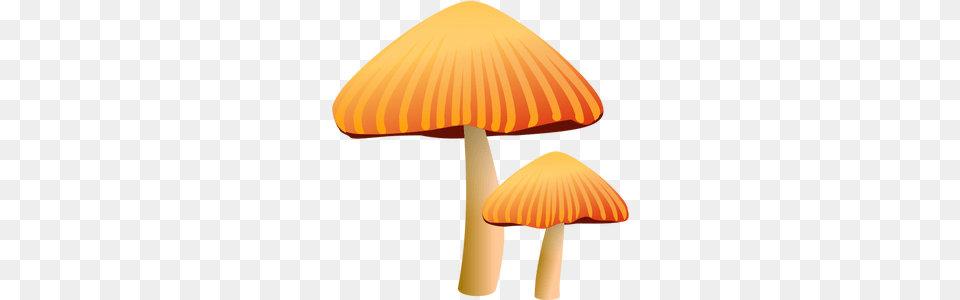 Mushroom Vector, Agaric, Amanita, Fungus, Plant Free Transparent Png