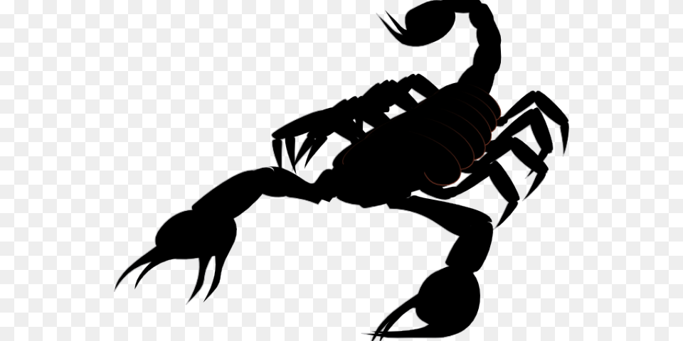 On Dumielauxepices Net Scorpion Clip Art, Electronics, Hardware, Person, Animal Free Png