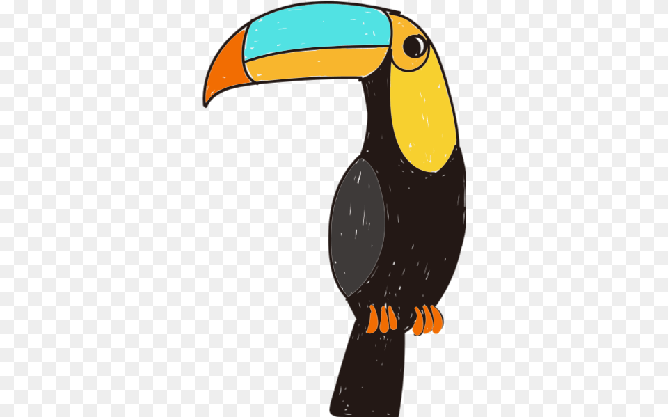 Free Online Animal Bird Toucan Birds Vector For Toco Toucan, Beak Png Image