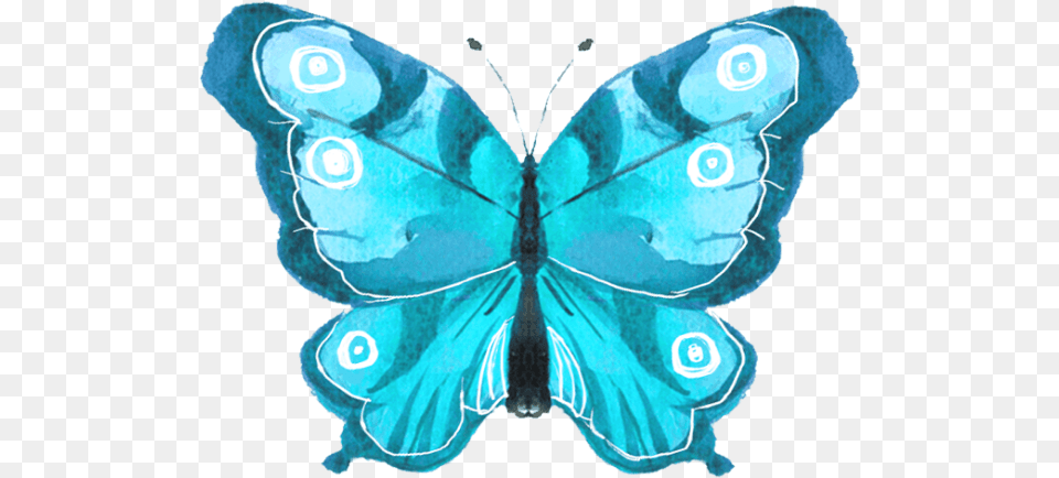 Free Online Butterfly Butterflies Watercolor Decoration Lycaenid, Animal, Insect, Invertebrate Png