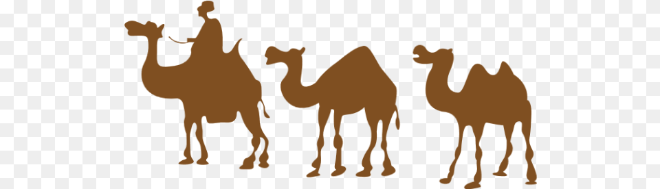 Online Camel Hump Animal Animals Vector For Camel Drawing, Mammal, Person Free Png