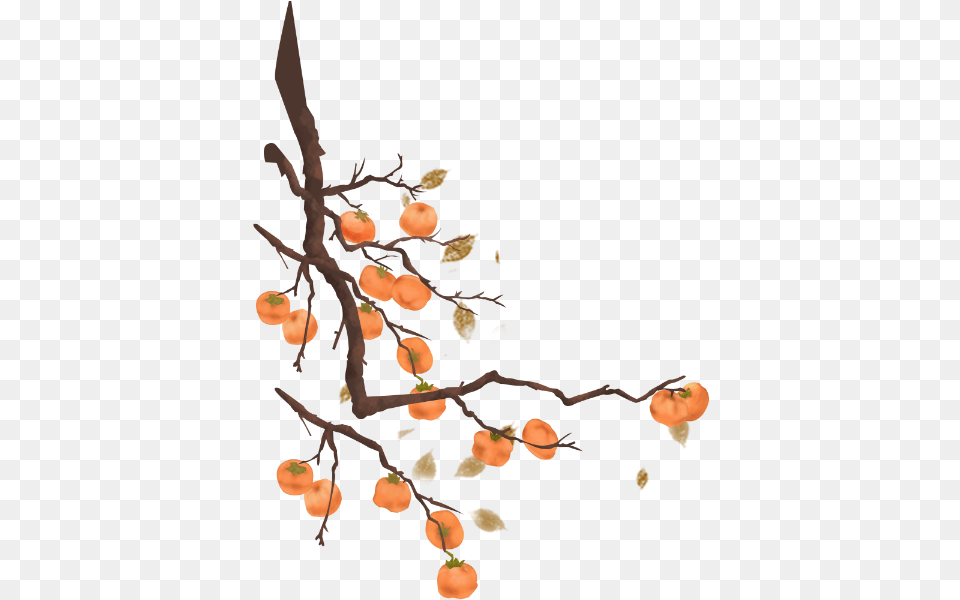 Online Persimmon Tree Plant Vector For Persimmon Tree Vector, Food, Fruit, Produce, Person Free Png Download