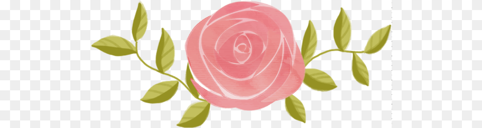 Free Online Rose Flower Roses Flowers Vector For Garden Roses, Plant, Petal, Plate Png