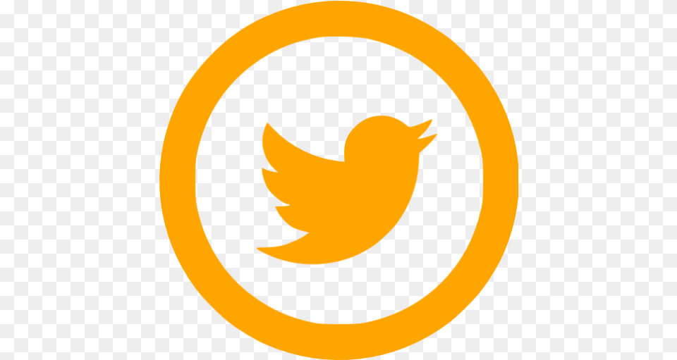 Free Orange Social Icons Transparent Background Facebook Instagram Logo Png