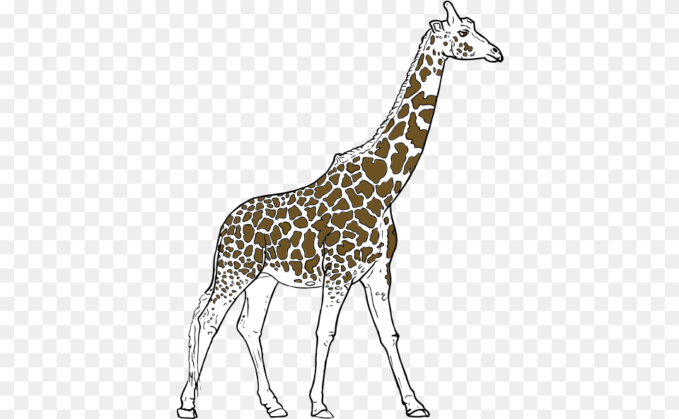 Outlines Of Animals Download Outline Wild Animal Sketch, Giraffe, Mammal, Wildlife Free Transparent Png