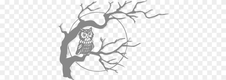 Owl Bird Vectors Tree With An Owl, Silhouette, Stencil, Person, Art Free Transparent Png