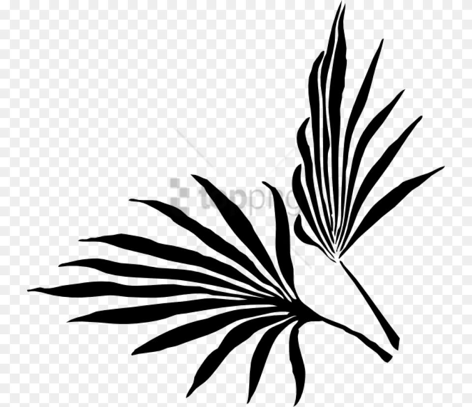 Palm Leaf Silhouette Vector Images Transparent Tropical Leaf Clipart Black And White, Plant, Stencil, Herbal, Herbs Free Png Download