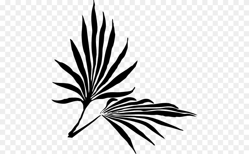 Palm Sunday Clipart Pictures, Leaf, Plant, Stencil, Herbal Free Png