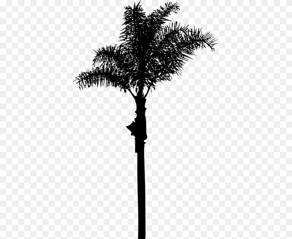 Palm Tree Images Transparent Portable Network Graphics, Palm Tree, Plant, Cross, Symbol Free Png Download