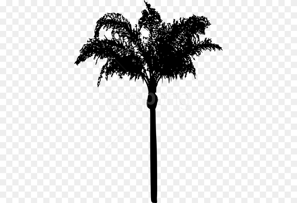Palm Tree Palm Tree Leaves Silhouette, Palm Tree, Plant, Cross, Symbol Free Transparent Png