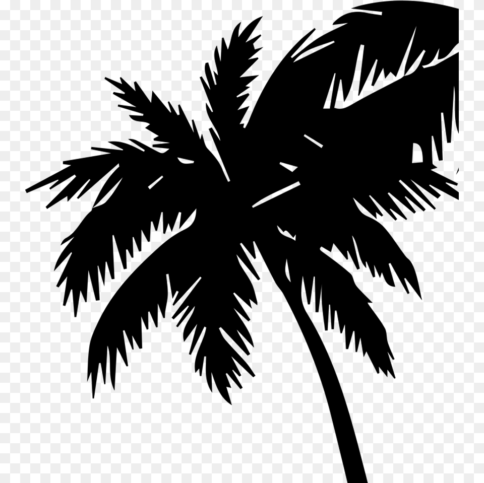 Palm Tree Silhouette, Lighting Free Png Download