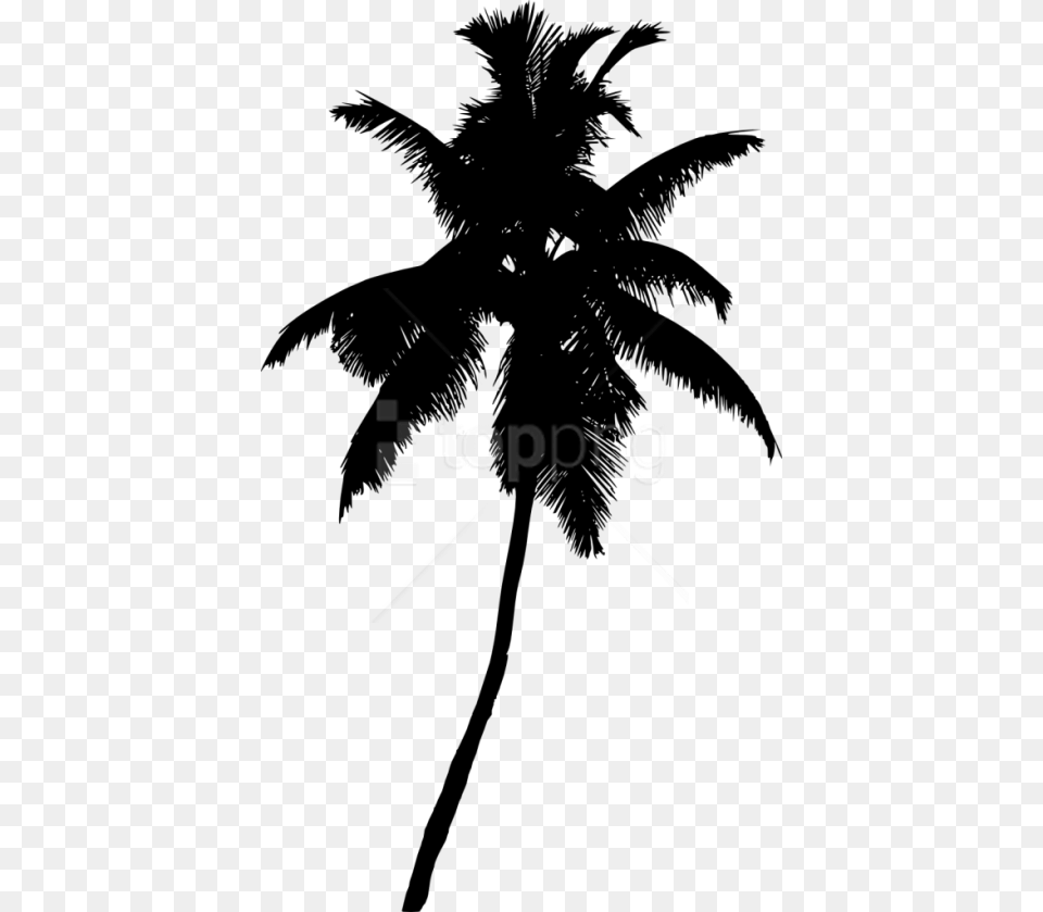 Palm Tree Silhouette Palma De Cera, Palm Tree, Plant, Animal, Bird Free Png