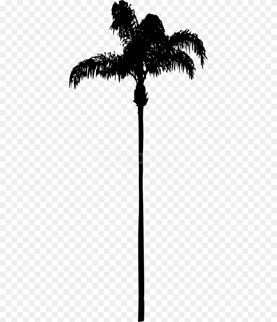 Free Palm Tree Transparent Background Palm Tree Silhouette, Palm Tree, Plant, Cross, Symbol Png Image