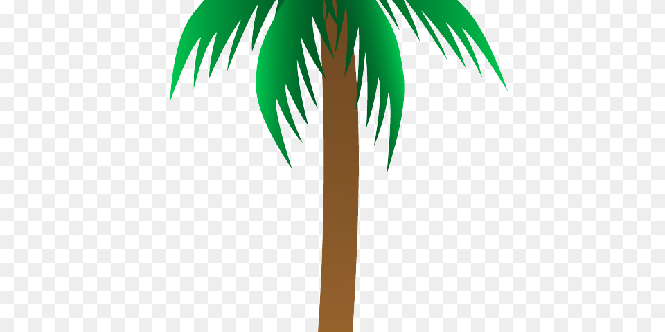 Free Palm Tree Vector, Palm Tree, Plant Png