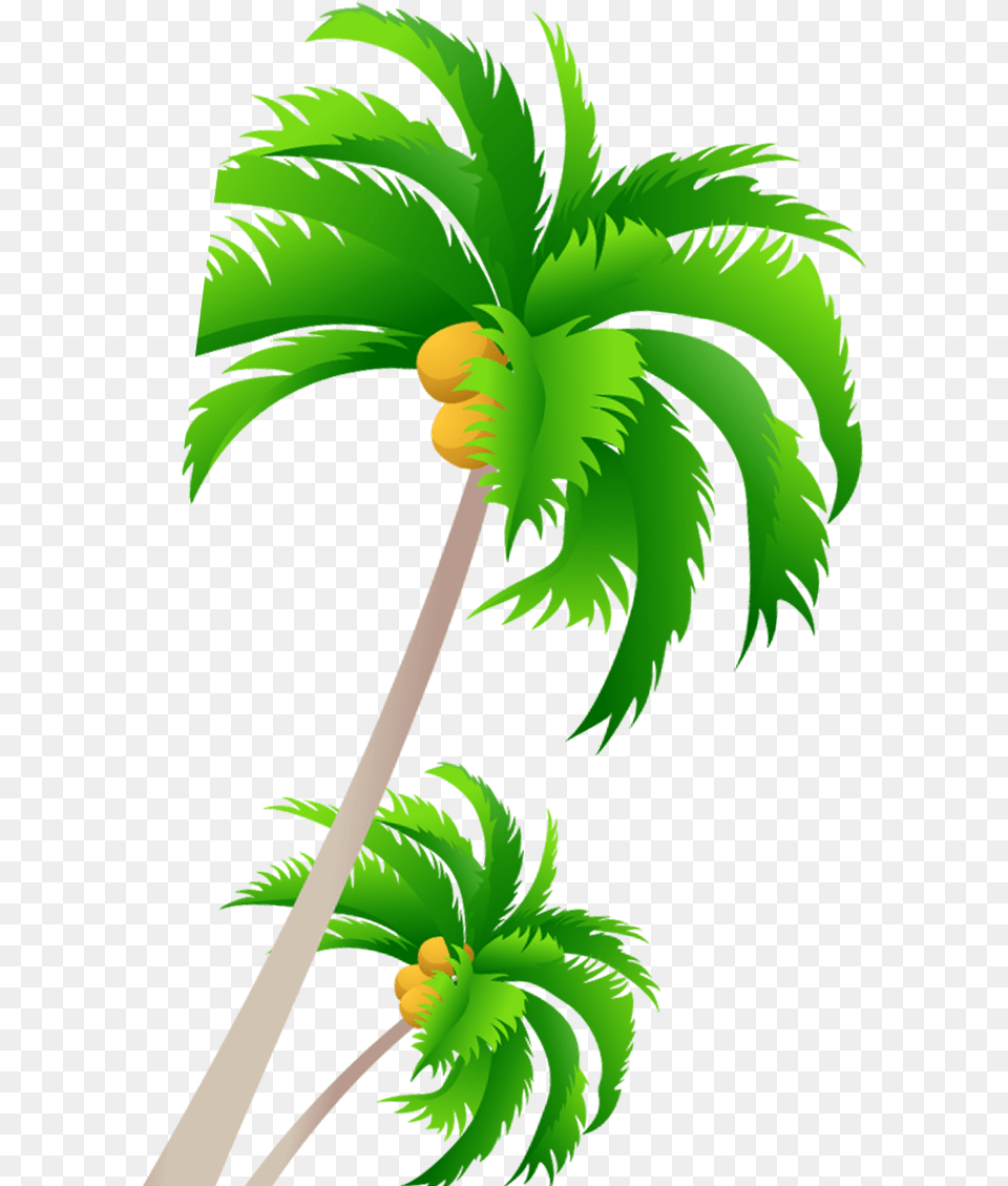 Palm Tree Vector Clipart Full Size Clipart Vector Coconut Tree Clipart, Leaf, Palm Tree, Plant, Green Free Png