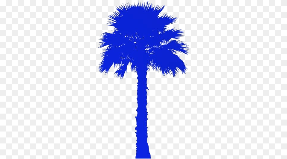 Free Palm Tree Washingtonia Palm Trees, Palm Tree, Plant, Cross, Symbol Png