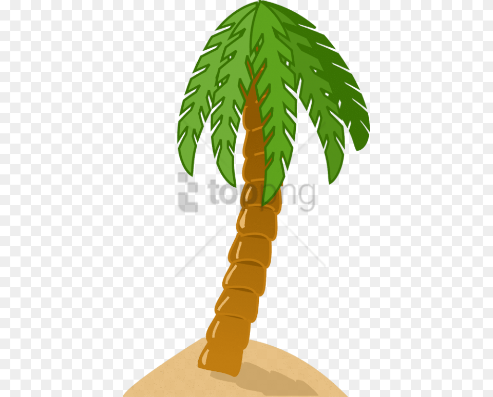 Free Palm Tree With Transparent Background Palm Tree Clipart, Palm Tree, Plant, Person Png