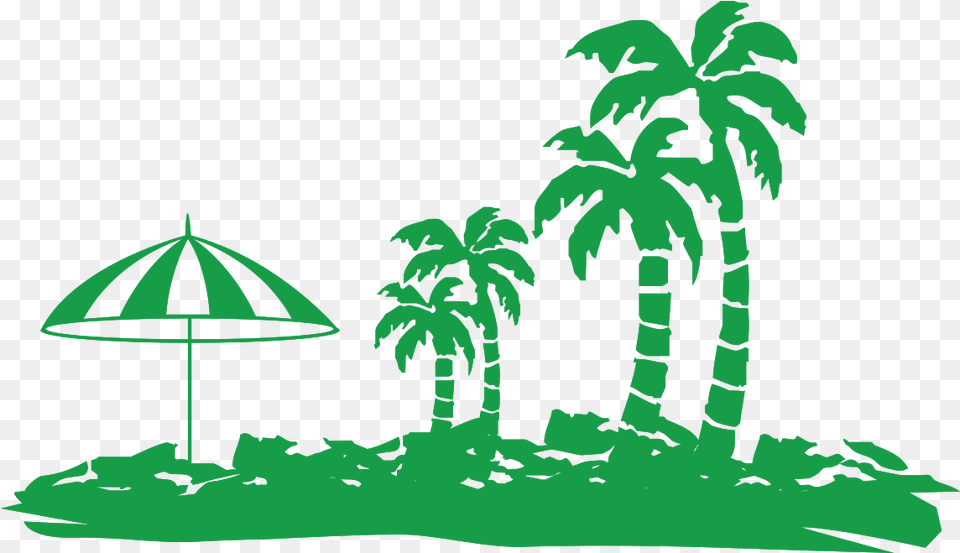 Free Palm Trees With Transparent Background Image, Summer, Green, Plant, Vegetation Png