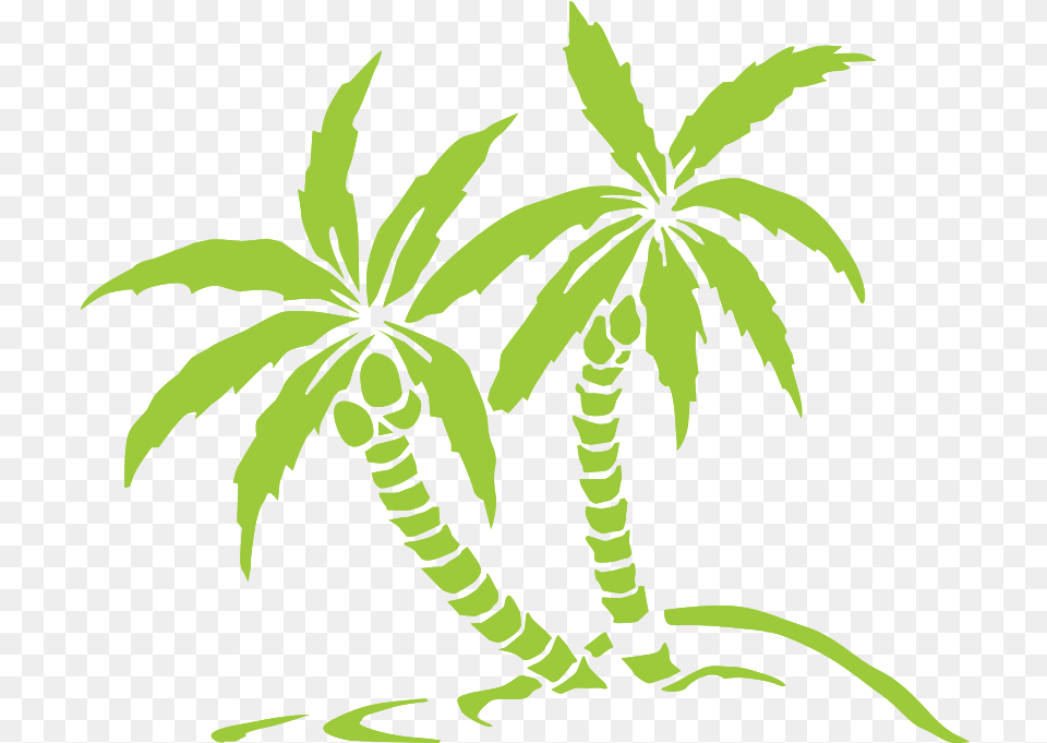 Palm Trees With Transparent Background Palmeras Tribales, Plant, Leaf, Vegetation Free Png