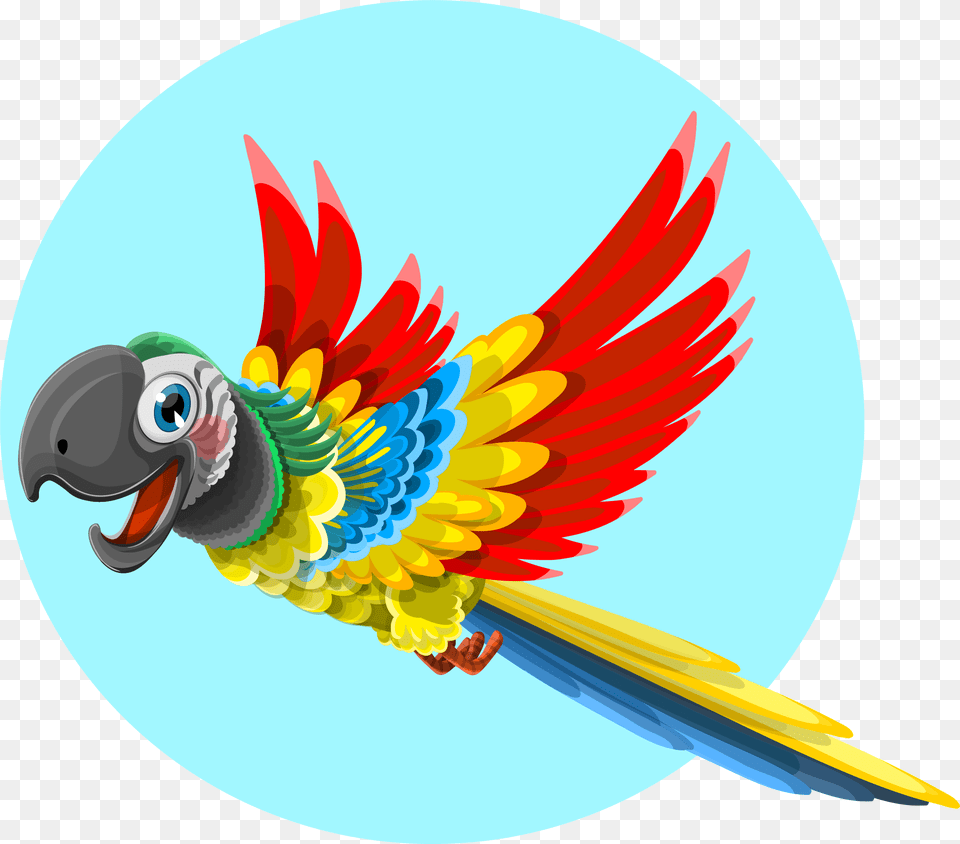 Free Parrot Bird Flying Cartoon Parrot Drawing, Animal Png