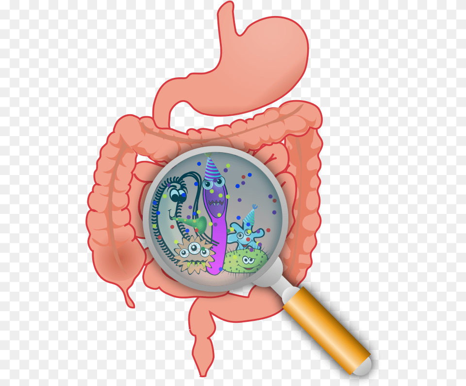 Party In The Bacteria In Intestine Cartoon, Magnifying, Smoke Pipe Free Png Download