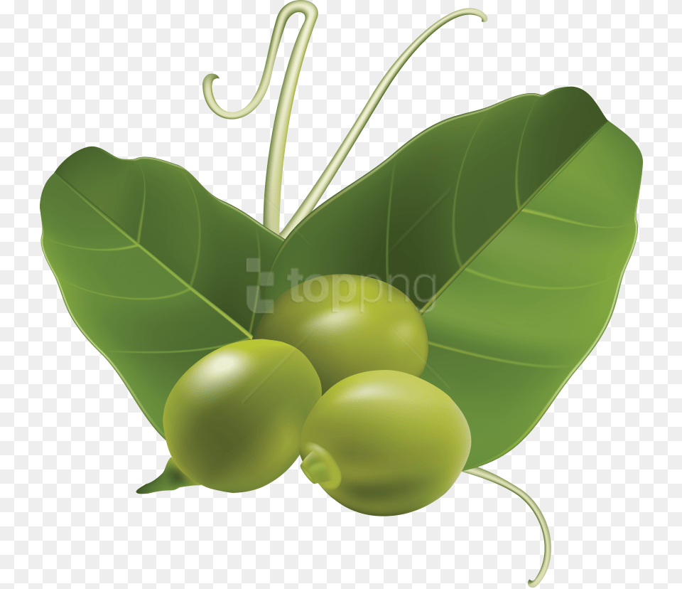 Pea Images Goroshina Klipart, Food, Fruit, Leaf, Plant Free Transparent Png