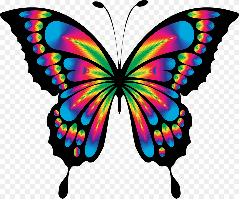Photo Animal Colorful Butterfly Abstract Chromatic Colorful Butterfly Clipart, Pattern, Accessories, Ornament, Fractal Free Transparent Png