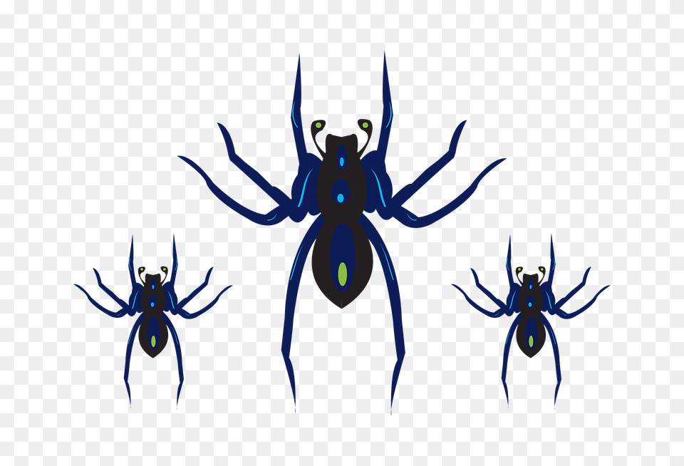 Photo Black Horror Halloween Spider Scary Clipart, Animal, Invertebrate Free Png Download