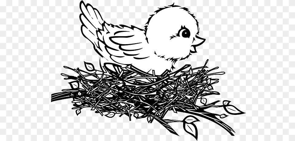 Free Photo Chick Nest Baby Bird Max Pixel Birds Nest Easy Drawing, Person, Face, Head, Art Png Image