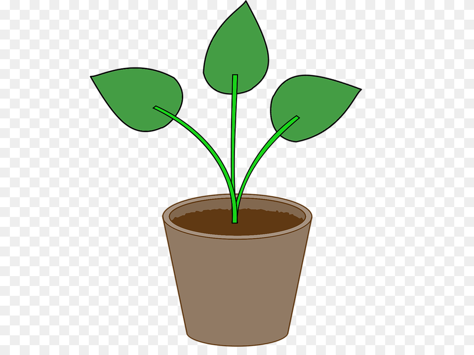 Free Photo Flowerpot Gardening Leaf Pot Houseplant Plant, Herbal, Herbs, Potted Plant Png Image