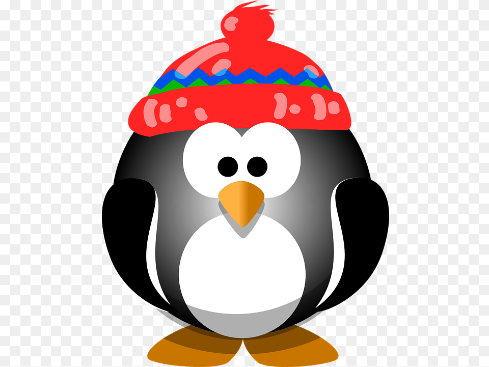 Photo Penguin Cute Hat Winter Animal Cold Bird Max Pixel Cartoon Penguin In A Santa Hat, Beak, Nature, Outdoors, Snow Free Transparent Png