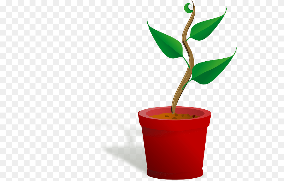Photo Plant Green Crack Resistance Leaves Survive, Leaf, Flower, Dynamite, Weapon Free Png