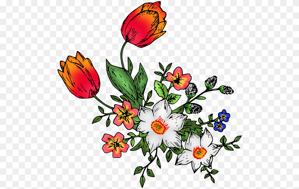 Free Photo Tulip Flowers Daffodil Max Pixel Tulip, Anemone, Art, Floral Design, Flower Png