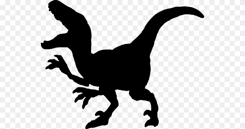 Photo White Background Cut Out Tyrannosaurus Rex, Gray Free Png Download