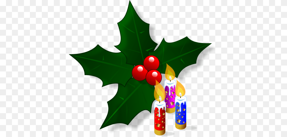 Photos Christmas Holly Search Download, Leaf, Plant, Person Free Transparent Png