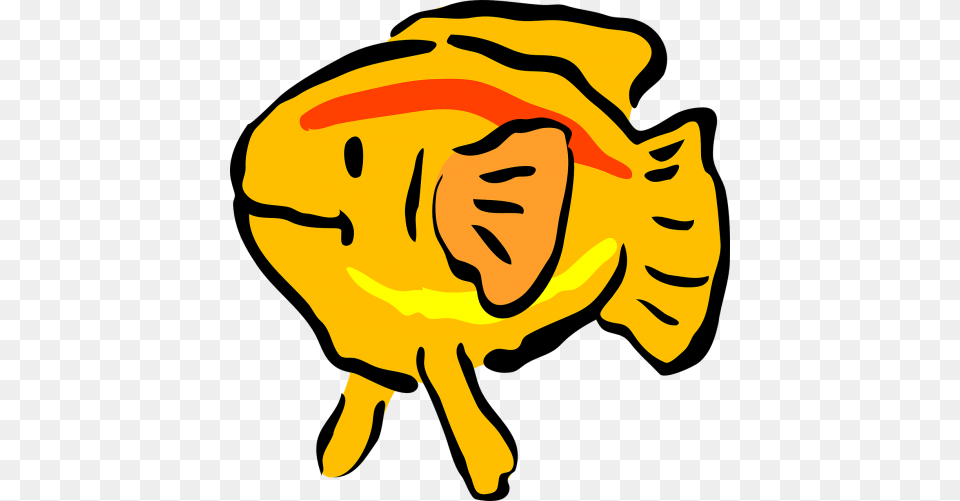 Free Photos Goldfish Outline In Color Search Download, Baby, Person, Animal, Fish Png Image