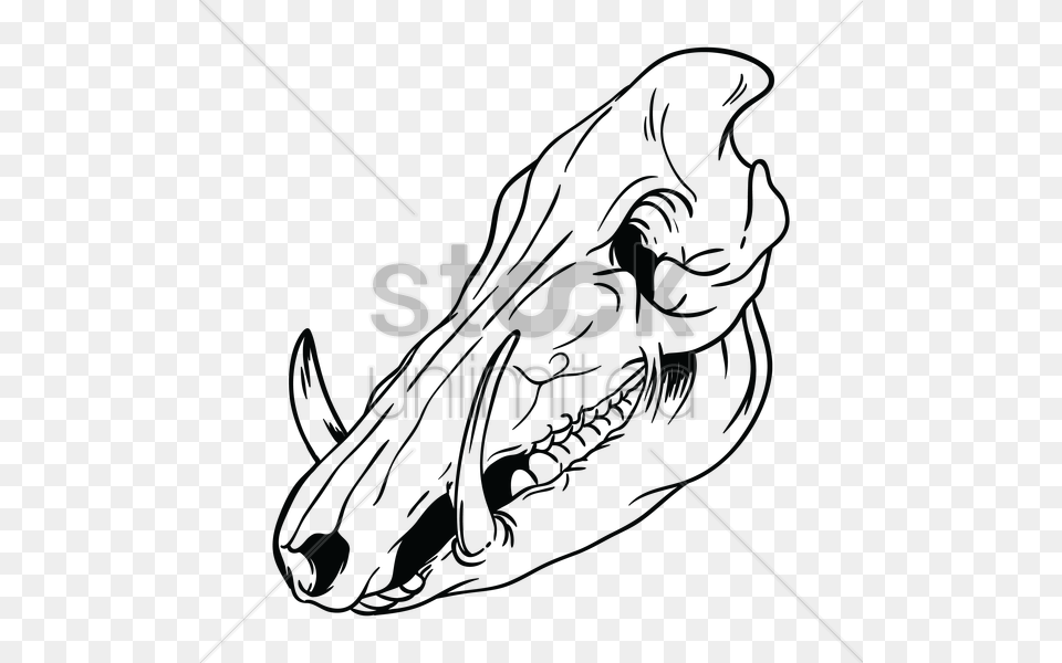 Pig Skull Vector, Lighting, Text Free Png Download