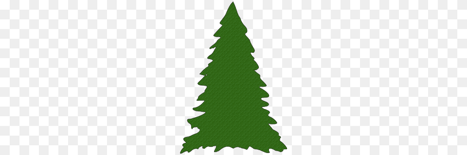 Pine Tree Christmas Paper This And That, Green, Plant, Fir, Christmas Decorations Free Png