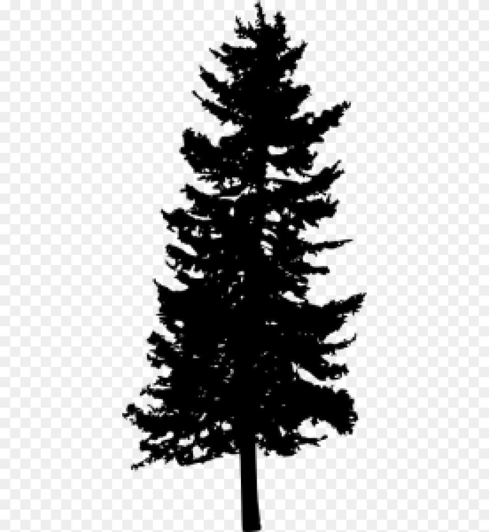 Pine Tree Silhouette Images Portable Network Graphics, Fir, Plant, Conifer, Person Free Transparent Png