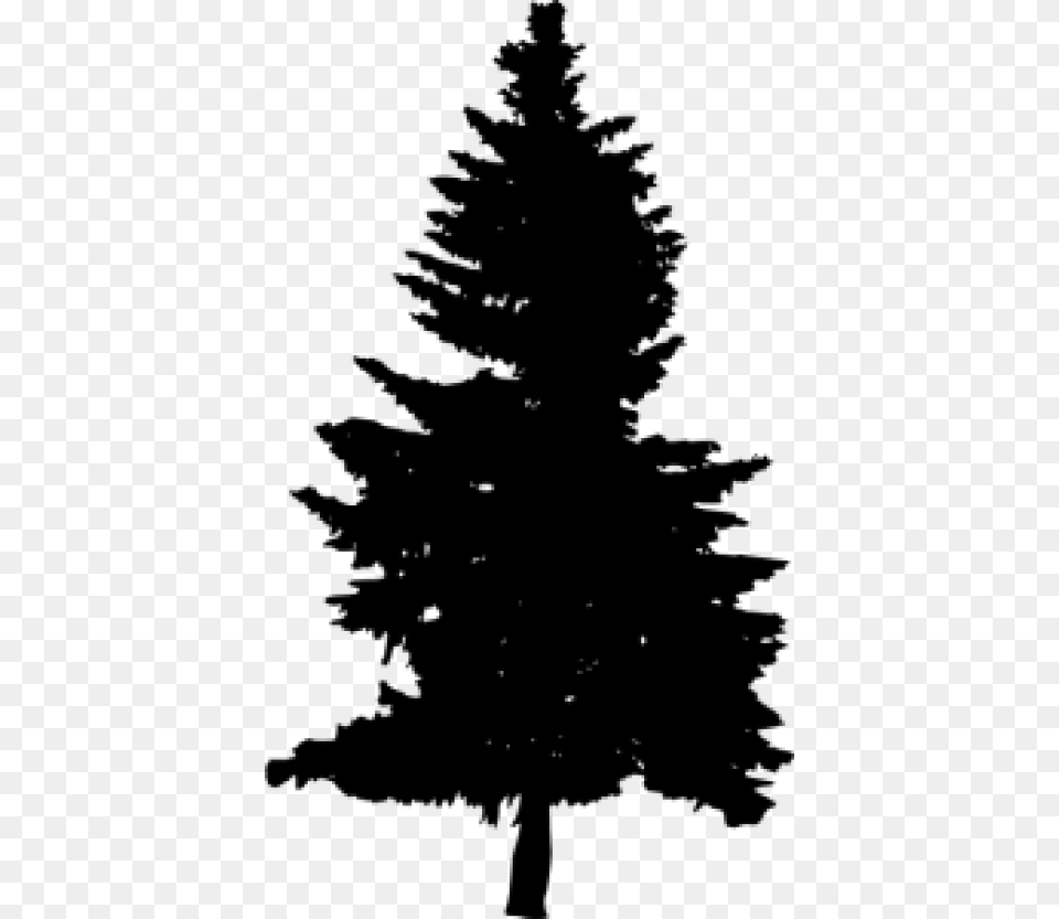 Pine Tree Silhouette Transparent Pine Tree Silhouette Black, Fir, Plant, Conifer, Person Free Png Download