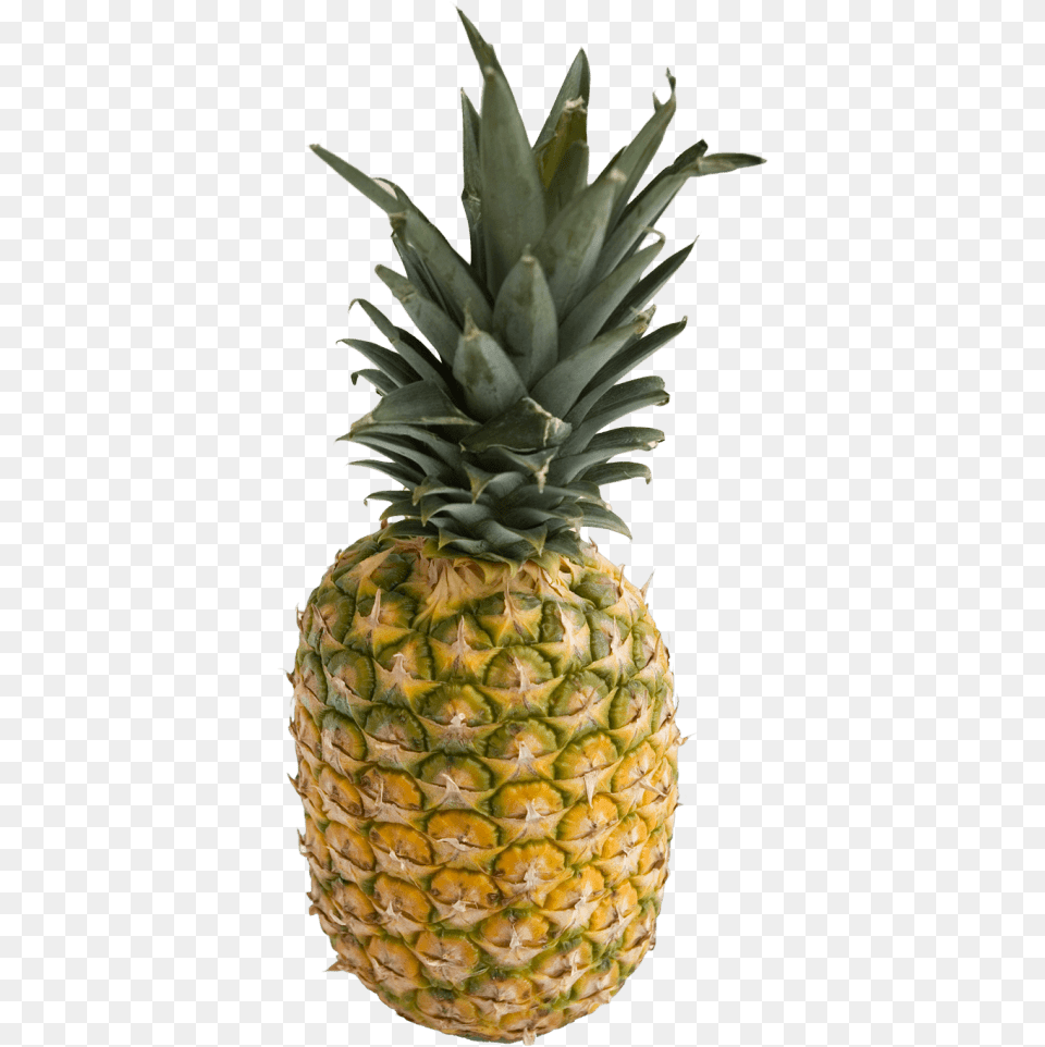 Free Pineapple Transparent Pineapple, Food, Fruit, Plant, Produce Png Image