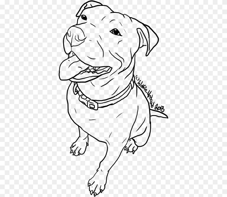 Pit Bull Line Art Pitbull Drawing, Stencil, Baby, Person, Animal Free Png Download