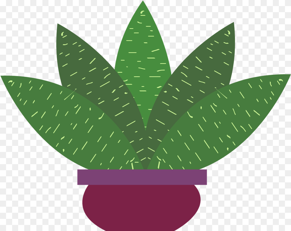 Free Plant Konfest Illustration, Leaf, Aloe Png Image