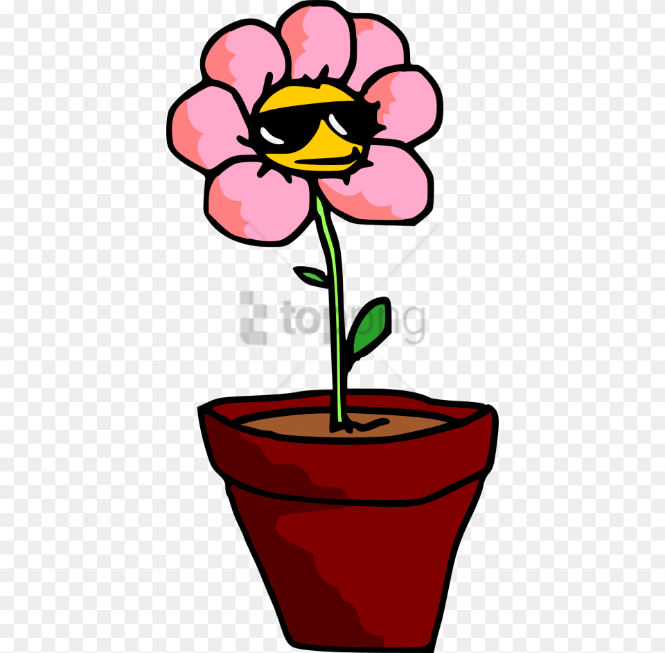 Plants With Sunglasses Cartoon Image With Transparent Cartoon Flower Pot, Petal, Plant, Potted Plant Free Png