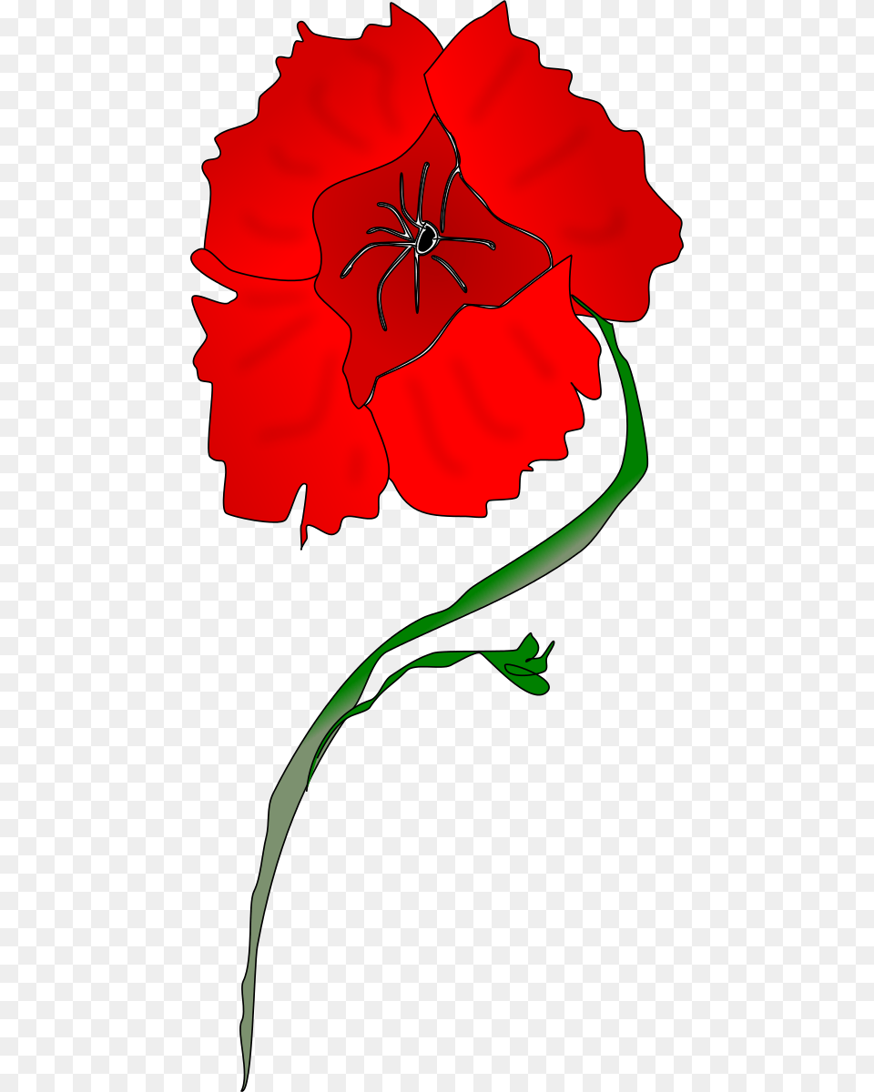 Poppy Flower Cliparts, Carnation, Plant, Person Free Png Download