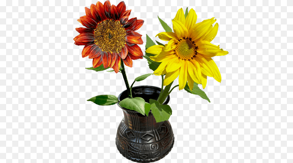Premium Stock Photos, Flower, Flower Arrangement, Plant, Flower Bouquet Free Transparent Png