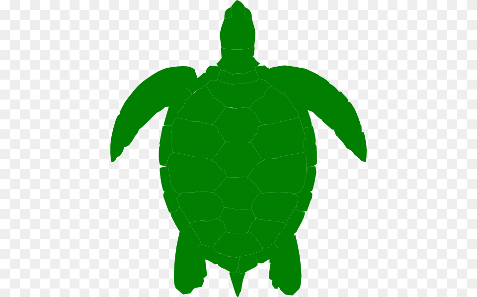 Printable Turtles Coloring, Turtle, Sea Turtle, Sea Life, Reptile Free Png