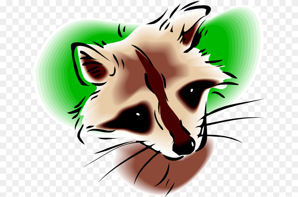 Raccoon Clipart, Person, Animal, Mammal, Canine Free Png