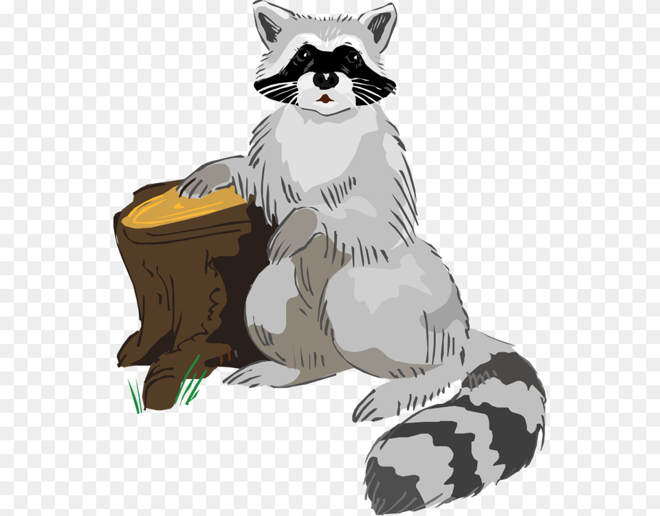 Free Raccoon Hd Clipart Clip Art, Animal, Mammal, Person, Canine Png Image