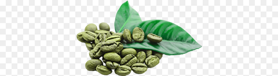Radicals Are Formed Naturally In The Body But Green Coffee Beans, Beverage, Medication, Pill, Coffee Beans Free Transparent Png